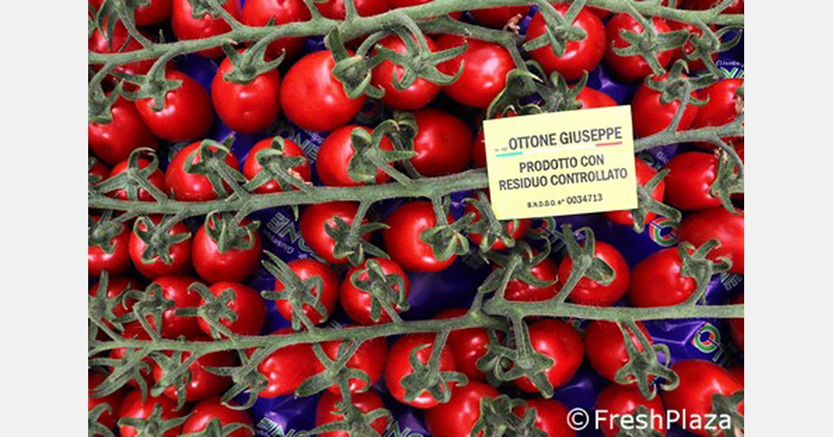 I nostri partner commerciali apprezzano molto i vantaggi. I nostri partner commerciali apprezzano molto i vantaggi.