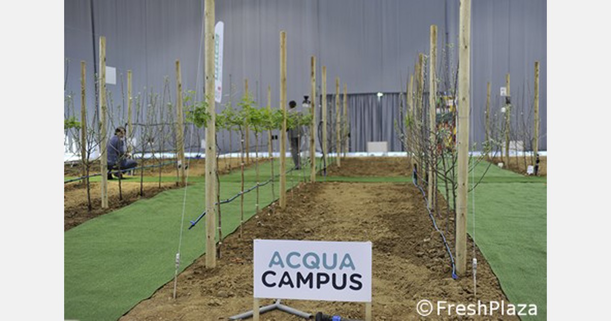 Il ritorno di McFroot Il ritorno di McFroot