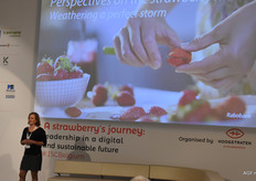 Cindy van Rijswick (Rabobank) over de aardbeienmarkt