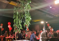 De eerste vruchten kleuren, net als bij steeds meer onbelichte telers ook het geval is.