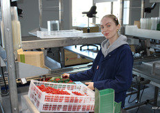 Livedemonstratie van het verpakken