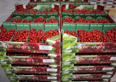 Rode bessen, klaar om naar de klant te gaan
