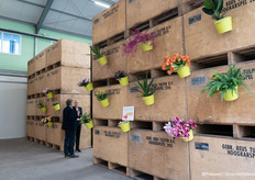 Het is overduidelijk dat de prijsuitreiking in Noord-Holland is 