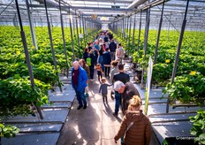Maar eerst een kijkje tussen de aardbeienplanten.