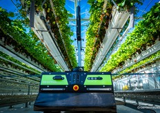 De Octiva UV-C robot 