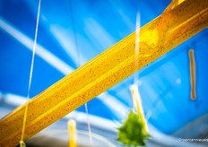 De vangplaten toonden hun werk