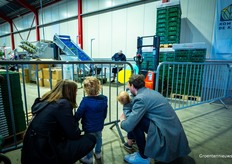 Sorteren, verpakken, en palletiseren