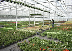 En het werk moet gewoon doorgaan