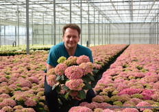 Eigenaar Bas van der Wilt tussen de hortensias. 