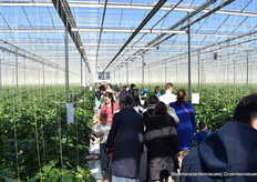 Hier worden paprika's op 35.000m2 geteeld