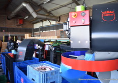 Van de paprikas uit te kas, tot in de doos -->