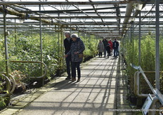 Hier worden 23 bamboes gekweekt op 11.100 m2