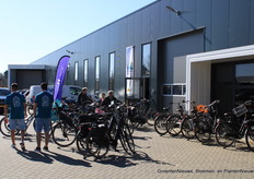 Topline Gerbera Kwekerij