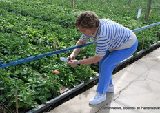 Dat moet op de foto.