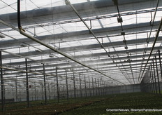 De verneveling stond aan bij Vilosa