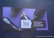 Van Onselen, Westland40.000 m2 aubergines