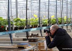 En toen was Kom in de Kas geopend, en werden er nog veel meer foto's gemaakt in de kassen van Kwekerij van Tuyl waar hier Lady Emma wordt geteeld, en in de andere, nieuwste kas Sonsation.