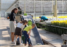 Zo'n bloementunnel is een interessant stukje techniek bij Kwekerij de Wolvenhoek.