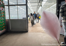 De suikerspin bij Lilies of Life was een hit