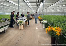 Lelies te koop bij Lilies of Life, maar ook andere mooie cadeautjes