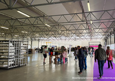 Drukke boel bij van Egmond Lisianthus