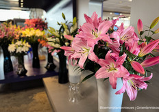 Veel aandacht voor de reusachtige lelies