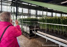 En voor de manier hoe de lelies worden geteeld bij Dutch Lily Masters