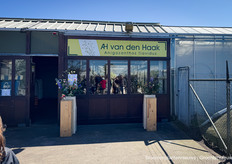 AH van den Haak, kweker van Anigozanthos Flavidus