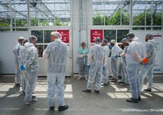 In deze kassen vinden proeven met LED-belichting plaats om telen met een lager energieverbruik te managen