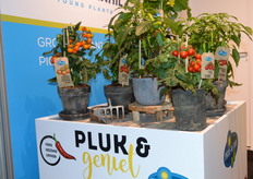 Plantenkwekerij Vreugdenhil - Pick & Joy