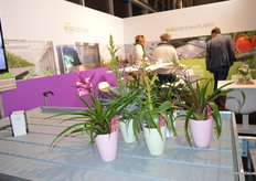 Tafels bij KG in de stand