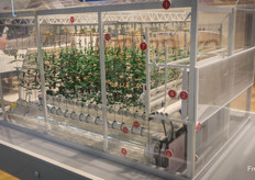 Miniatuurkas te zien op de stand van KUBO.