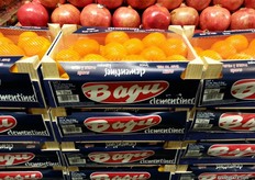 Muur gemaakt van Spaanse clementines