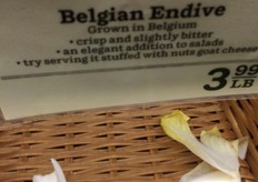 Lege mand met Belgisch witloof. Telers zullen watertanden als ze de prijzen zien