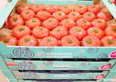 De kenmerkende roze tomaten waar Polen zo trots op is