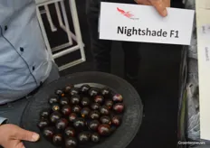 Het nieuwe tomatenras Nightshade F1 van Wing Seed. 