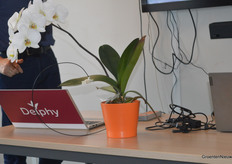 Proef met sensor om fotosynthese te meten