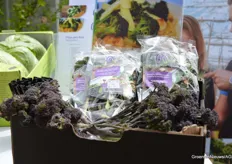 Deze Redi-broccoli van Bejo Zaden kun je in zijn geheel eten, bijvoorbeeld in een pittig gerecht met gamba’s zoals het recept op de achtergrond uitlegt.