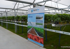 De familie Lambrechts koos voor een Ventrio-foliekas bij de uitbreiding in Beerse.