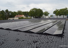 Naast de kas is een waterbassin gerealiseerd met daarop 400 drijvende zonnepanelen van Connectum.