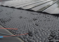 De 550-wattpiek zonnepanelen wegen 32 kilogram per stuk, de Icos, de drijvende petflesachtige drijvende afdekpuzzelstukjes, worden gevuld met water en daarnaast is het geheel verankerd. Bang zijn voor het 'wegvliegen' van de installatie hoef je dus niet te zijn, verzekerde Hedwig van Roy van leverancier Connectum bezoekers.