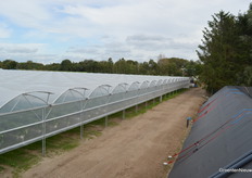 In een winderige week viel het weer woensdagmiddag goed mee. De gevels zijn uitgerust met automatische oprolgevels.