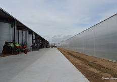 Een strakke zijgevel en een strak betonpad naast de loods die al op het perceel stond en die nu voor de aardbeienteelt wordt gebruikt.