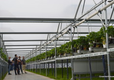 Direct vanaf het begin van de middag om 14.00 stond er volk op het betonpad. Later op de middag kwamen er ook cadeaus voor de telers voorbij.