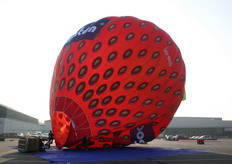 Deze heteluchtballon die natuurlijk de vorm van een aardbei heeft, zal de komende vijf jaar door de Belgische veiling worden gebruikt voor promotiedoeleinden. De ballon zal vanaf zeer binnenkort in de lucht te zien zijn en zal daarnaast zijn opwachting maken op tal van evementen.