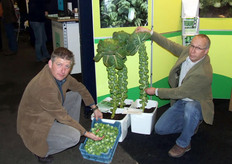 Perry Kuilboer en Rob van den Bos van Bejo Zaden tonen trots hun spruiten.