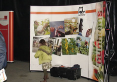 Piet Bouten van Nunhems heeft de stand verlaten en is de klanten aan de bar op gaan zoeken