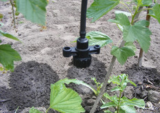 Druppelaar met sproeitechniek voor een bredere bevochtiging.