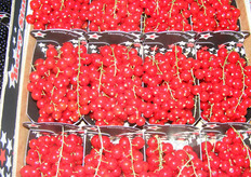 Rode bessen van het eigen merk Berry Stars.