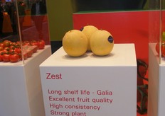 Enza besteedt veel aandacht aan het verwerven van een goede marktpositie in Zuid-Amerika door het op de markt brengen van de Zest-meloen (Galia). Deze zijn met kerst geoogst en ruiken werkelijk heerlijk.